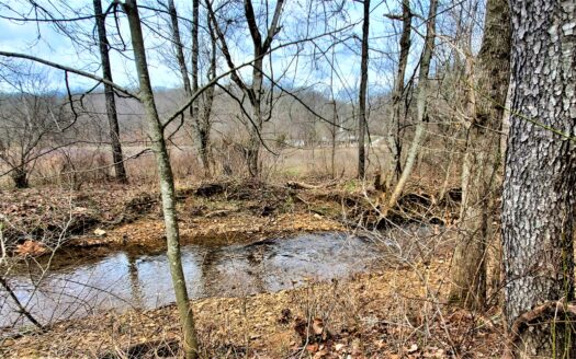 5.06 Peaceful Acres – Year Round Creek! No Restrictions, No Zoning, & Power On The Road. What’s Not to Love?