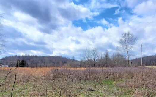 5.06 Peaceful Acres – Year Round Creek! No Restrictions, No Zoning, & Power On The Road. What’s Not to Love?