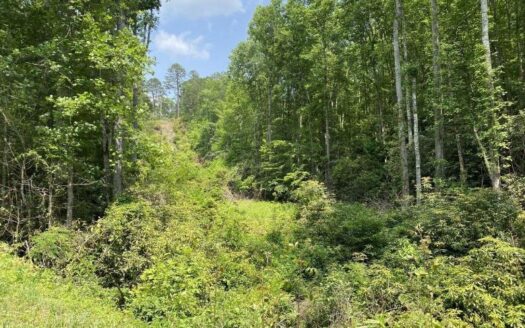 Dream Away on This 34.85 Acre Serene, Secluded Property with easy access to Fontana Lake and town!