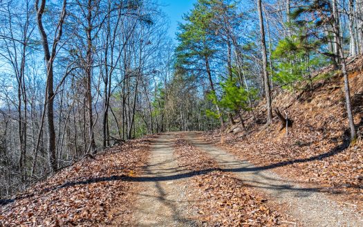 RV-Friendly Land w/ Views – Flat Area + Owner Financing Available!