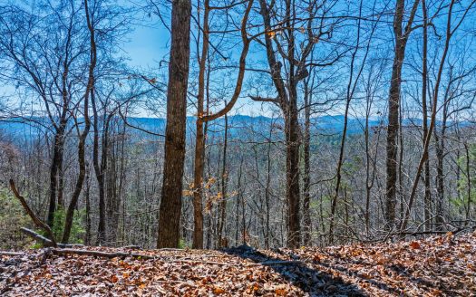 Private 2.4-Acre Mountain Escape — Seclusion Meets Convenience in Murphy, NC